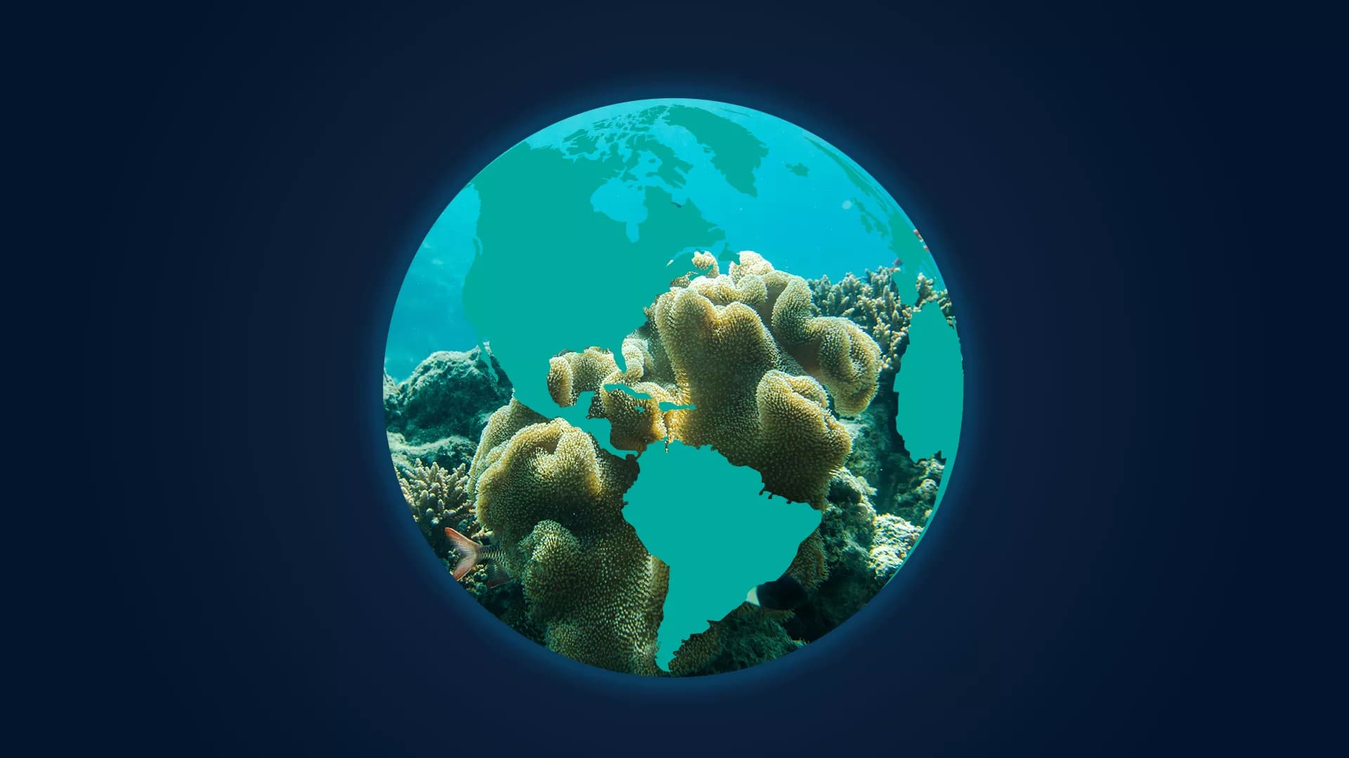 Global view of coral reef monitoring from NOAA